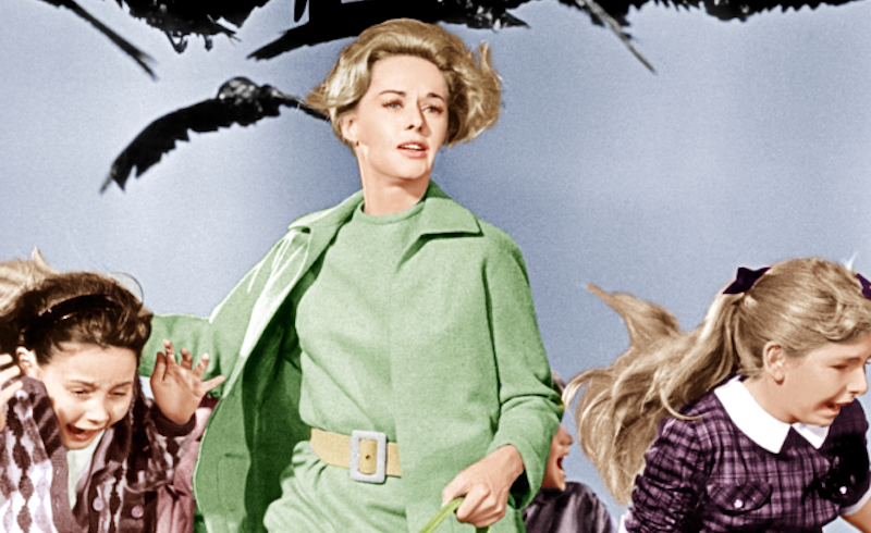 Tippi Hedren ne “Gli uccelli”